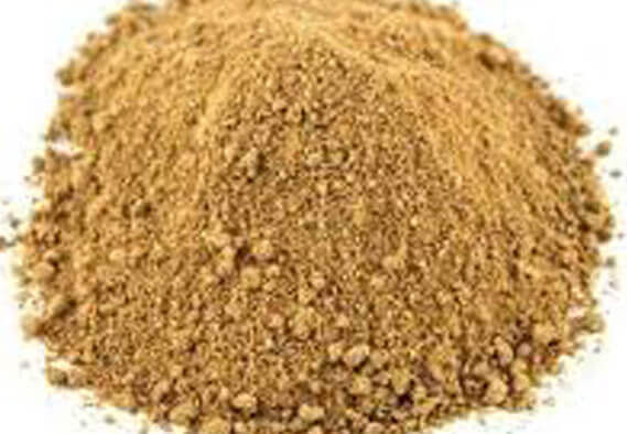 dry mango Powder Suppliers in India
