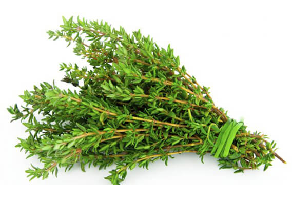 thyme Powder Suppliers in India